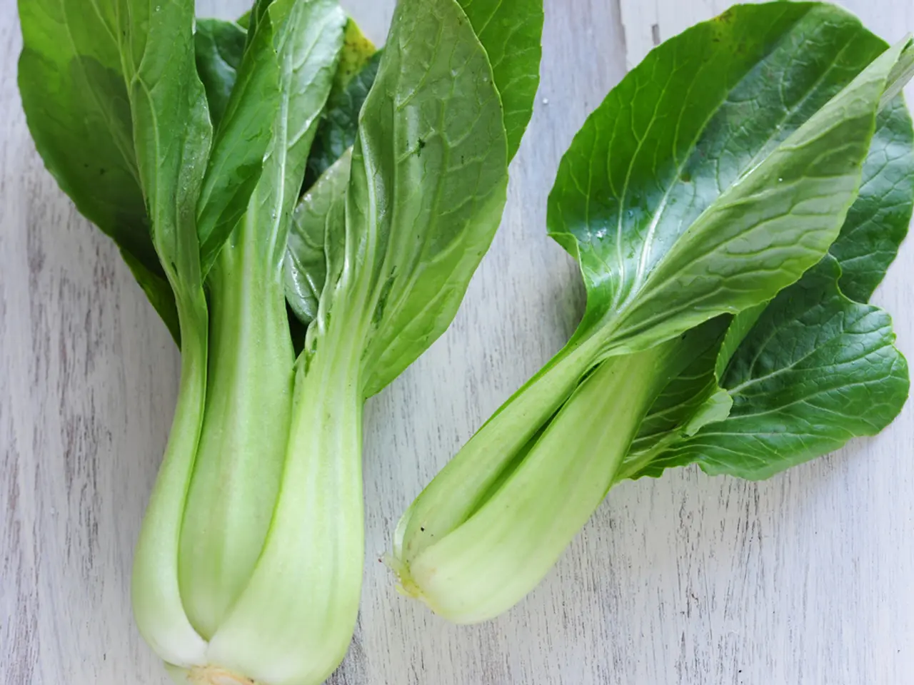 Best Crops to Cultivate in a Backyard Farm during Wartime