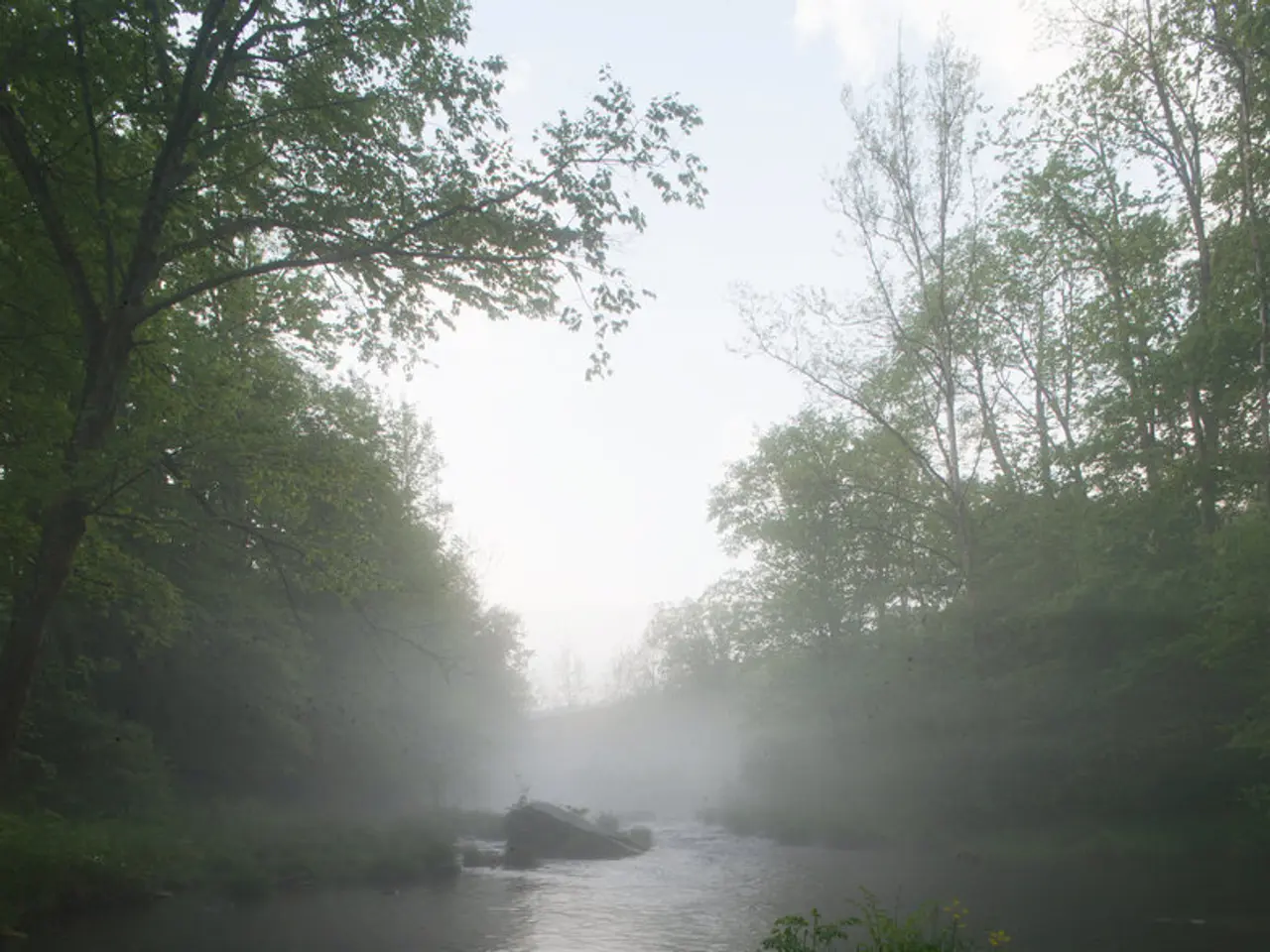 Thorough Terrarium Maintenance Manual (Avert these 7 Common Errors)