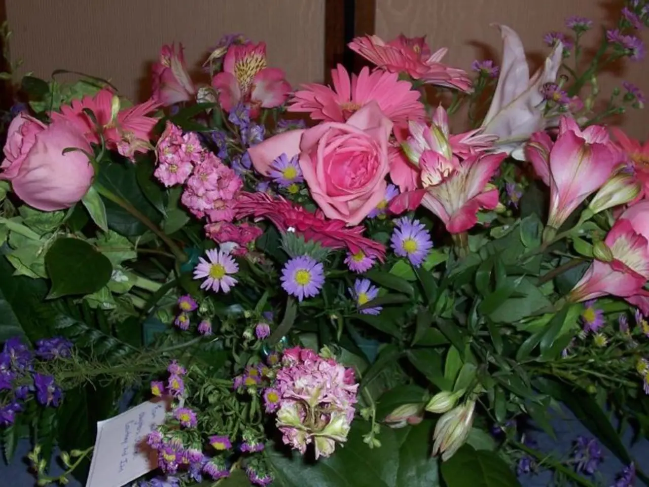 Houseplant Orchid Varieties for a Stylish Abode: Discover My Preferred Choice at Number 4 for...