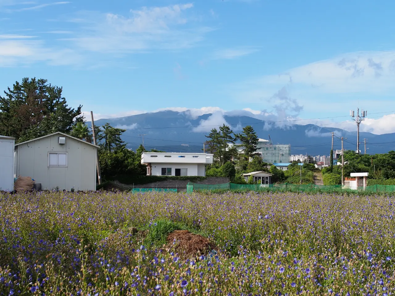 Solar-Powered Hydroponic Systems: Shaping the Landscape of Cultivation