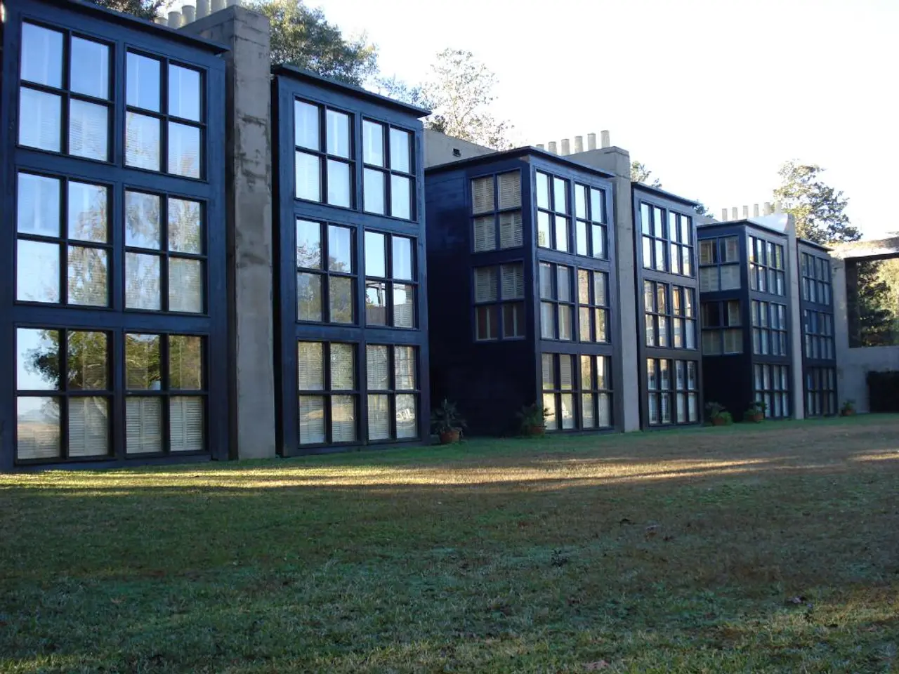 Explore Five Varieties of Spruce Trees: Simple Methods to Infuse Evergreen Charm into Every Garden...