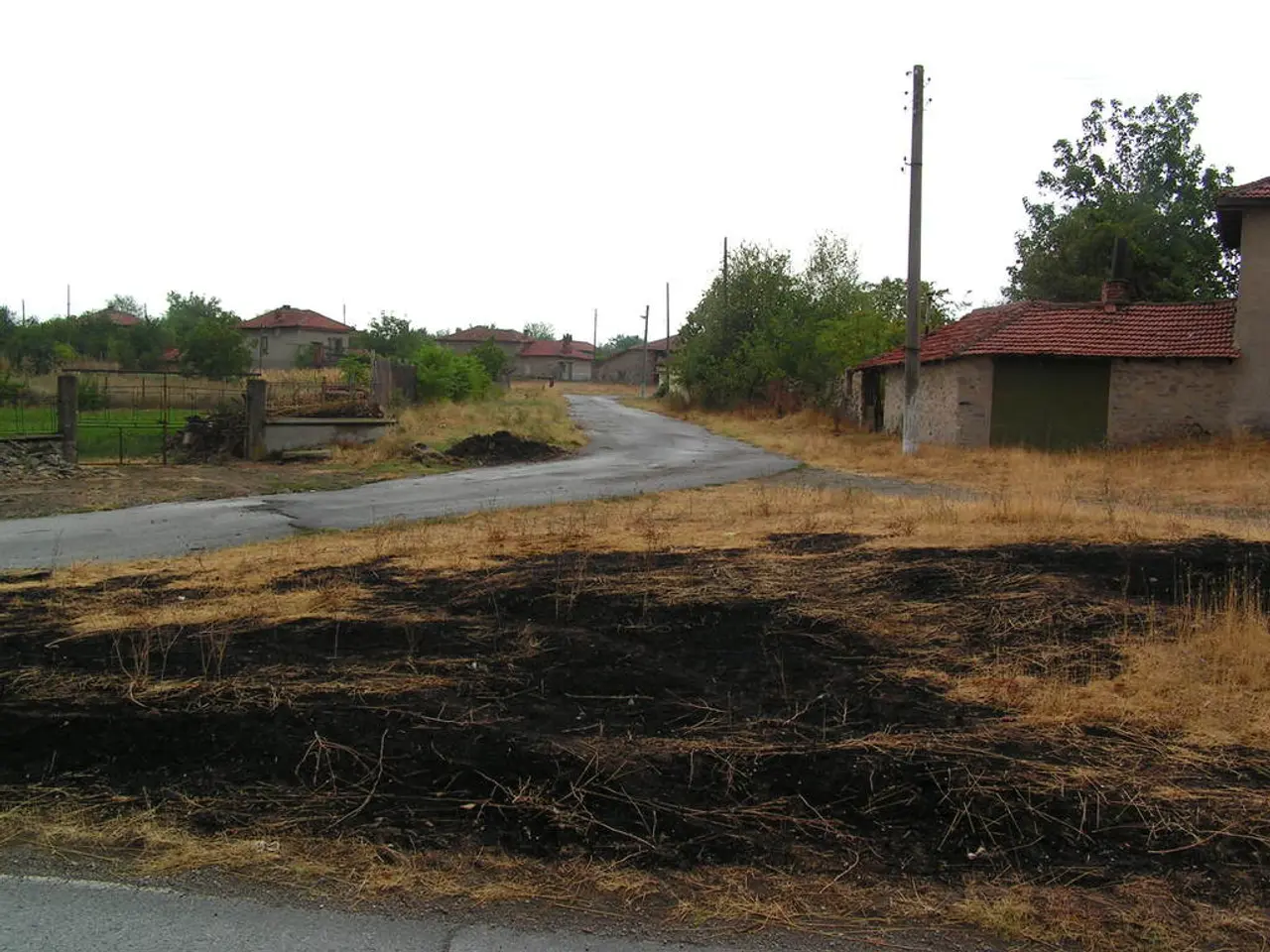 Garden in Potsdam to Resume Operation Starting Friday