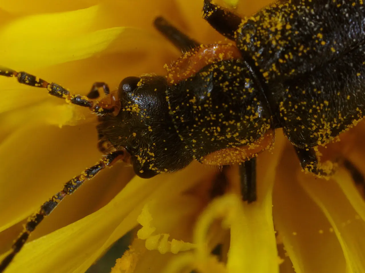 Eliminating Hornworms: Efficient Strategies for Your Backyard Gardens