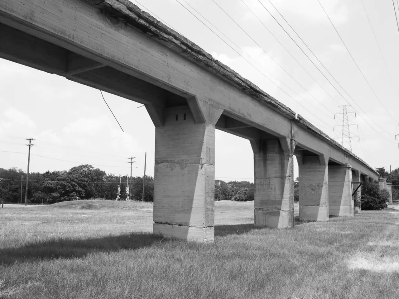 Top picks for cordless strimmers: Discover the finest models on the market, ranging from affordable...