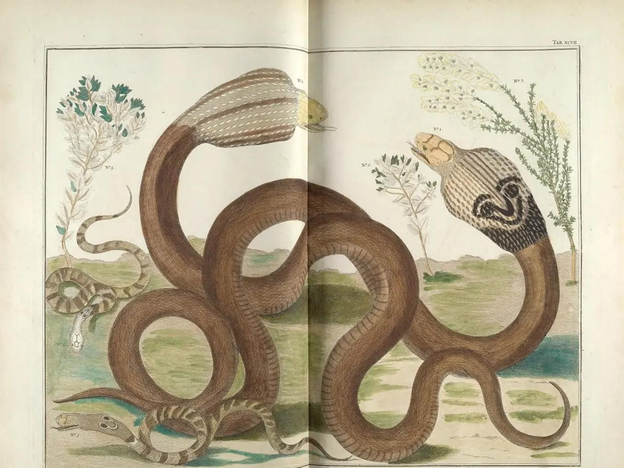 Mastering Daffodil Cultivation: A Comprehensive Guide!