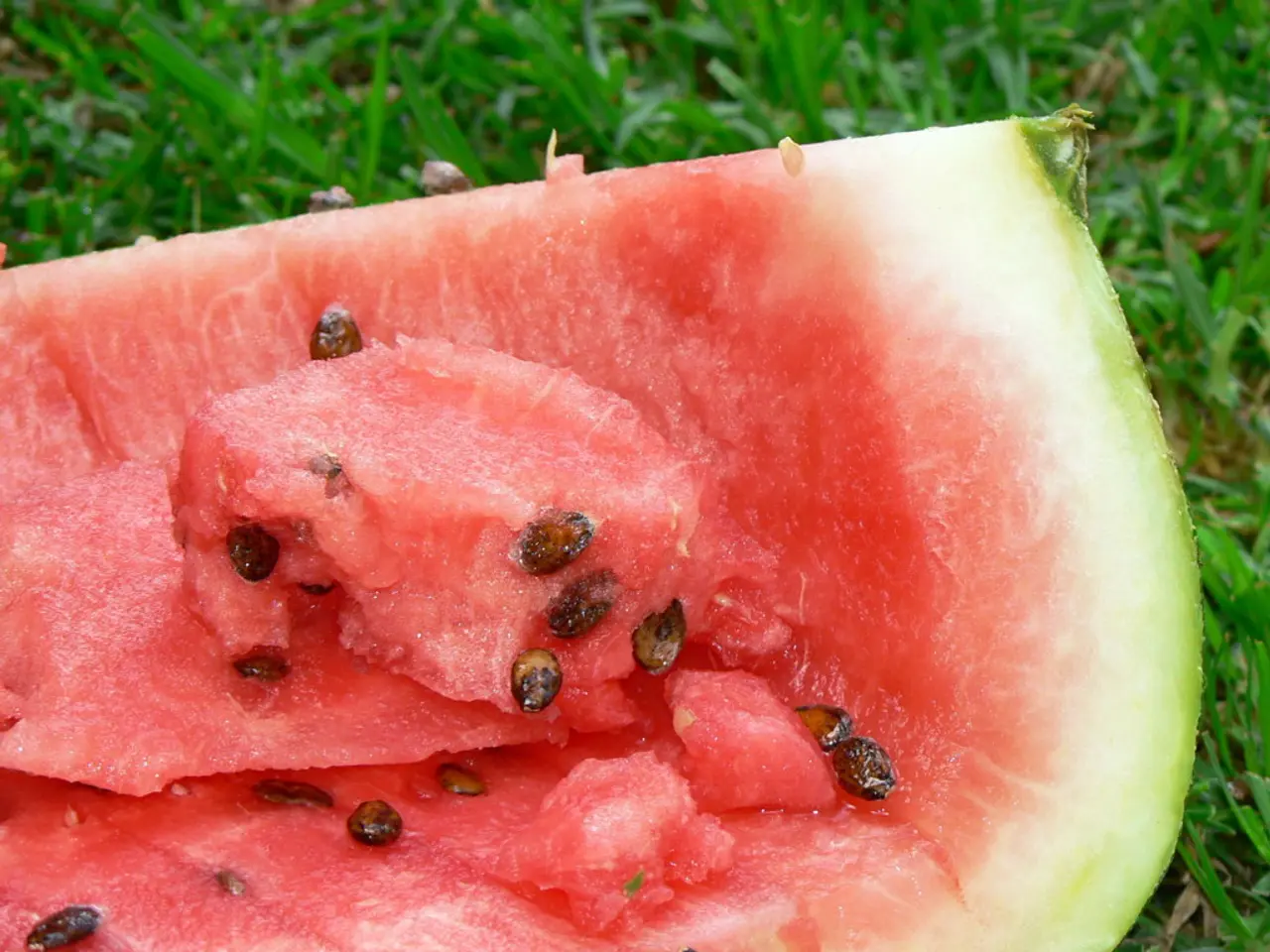 Guide to Cultivating Juicy Watermelons for Delicious Produce Throughout Summer