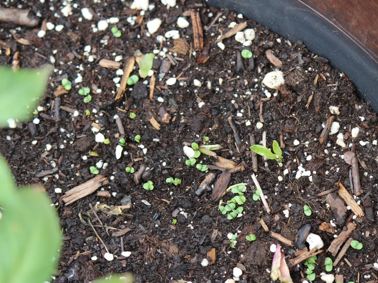 Guiding Garden Compost