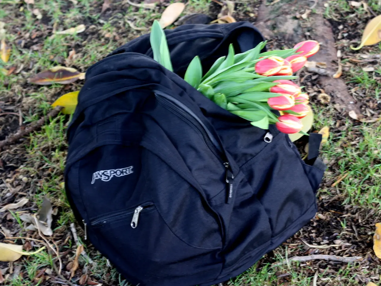 Implementing Weed-Prevention Landscape Fabric