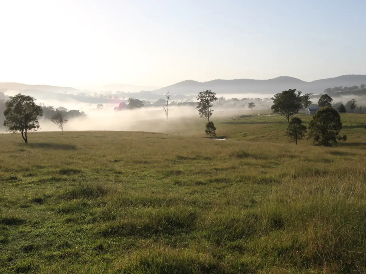 Landscaping Material Comparison: Geotextiles and Fabrics