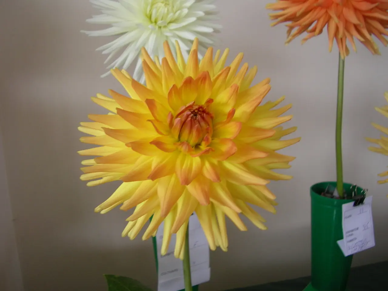 11 Top-Picked Herbs Ideal for Floral Crafting