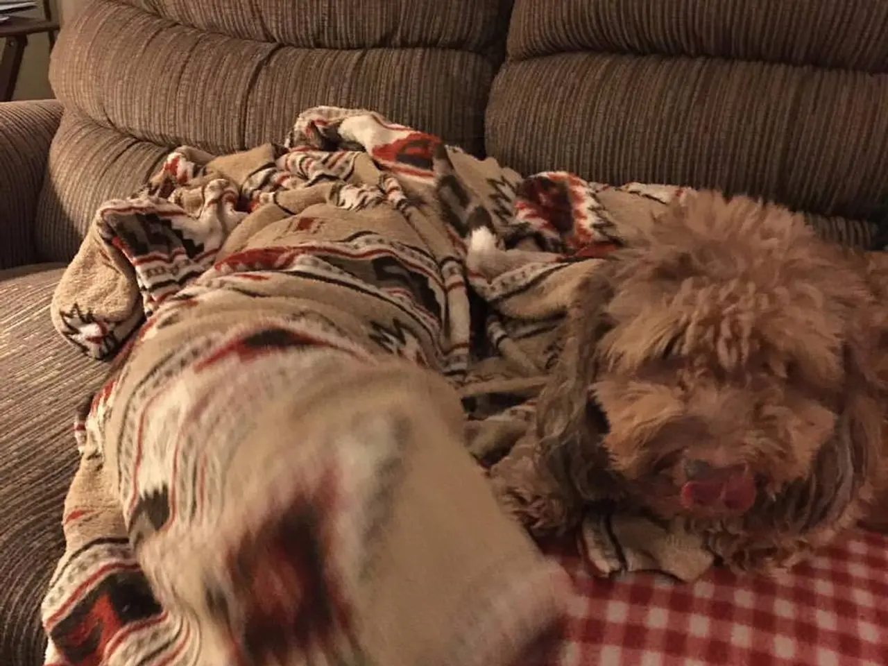 Spent countless hours searching for a sofa bed fit for my apartment's narrow doorway? This foldable...