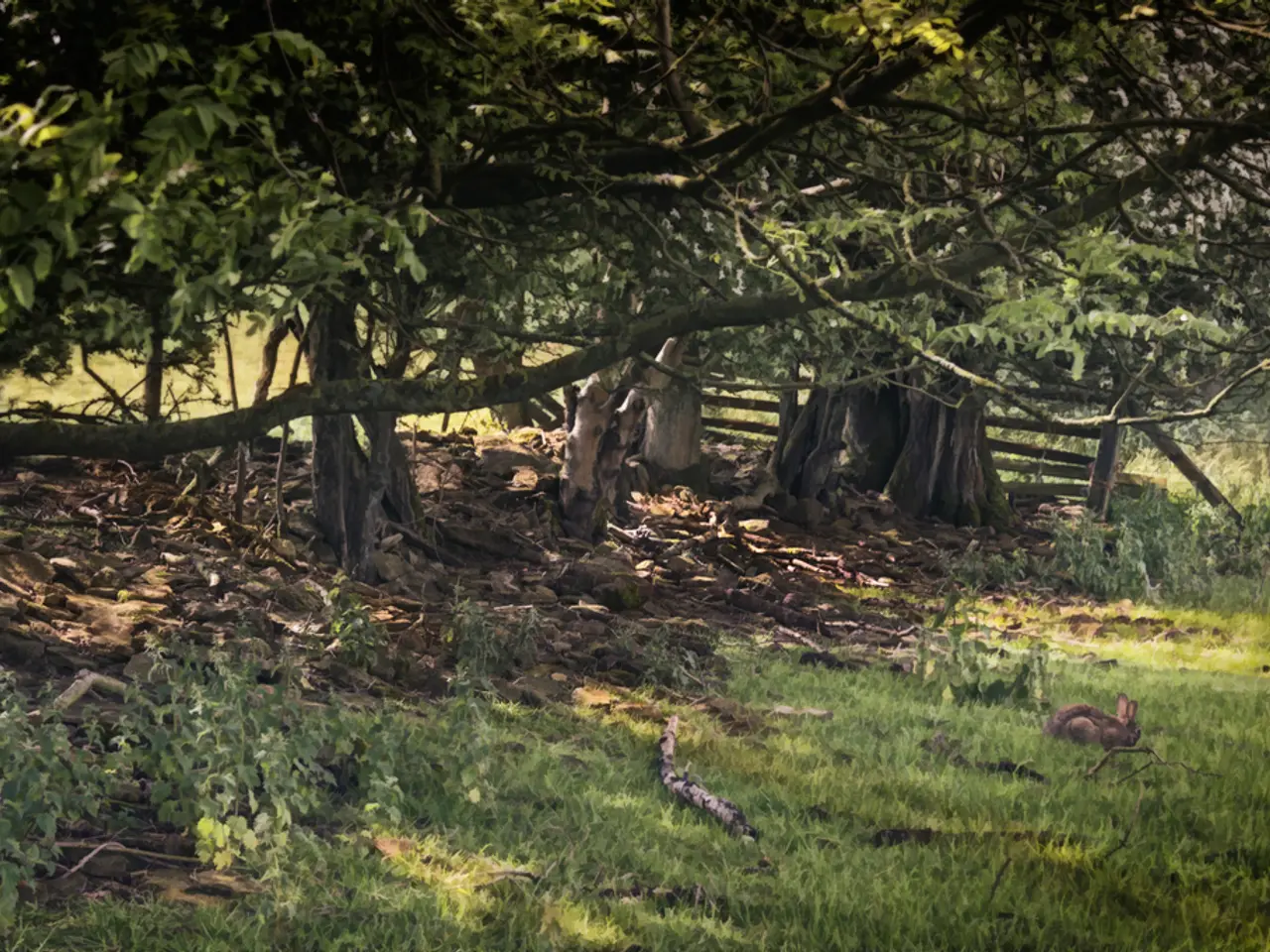 Invitation extended by NABU for an Open House event