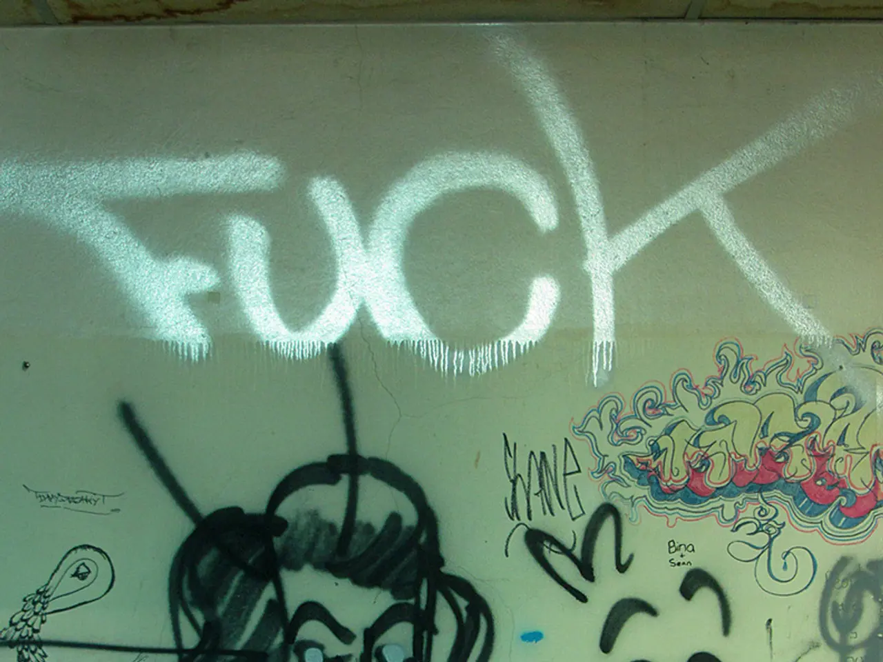 Vinyl Matt Paint: Its Characteristics and Presence in the Trade Section