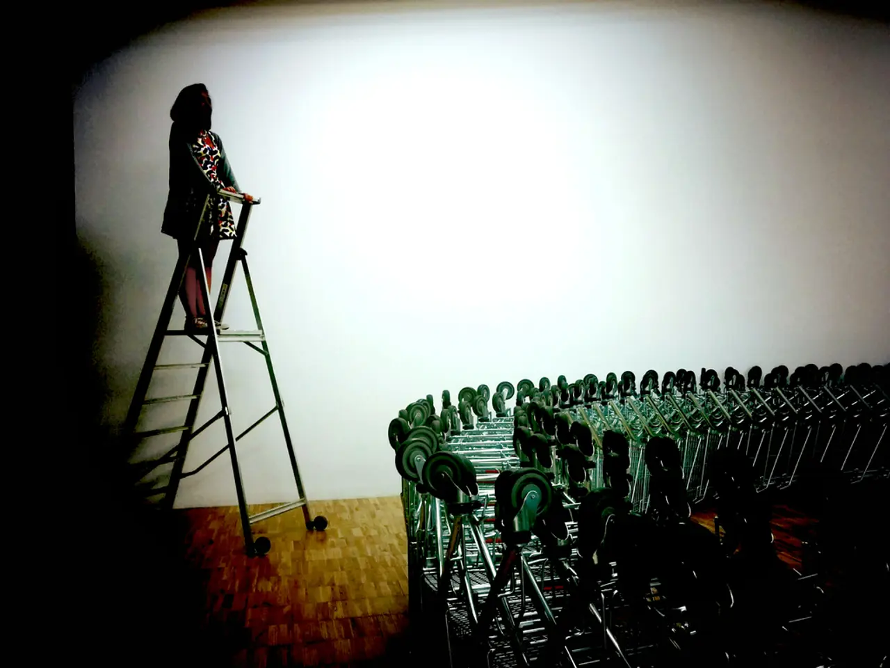 In this picture we can see a woman standing on a ladder, trolleys on the floor.