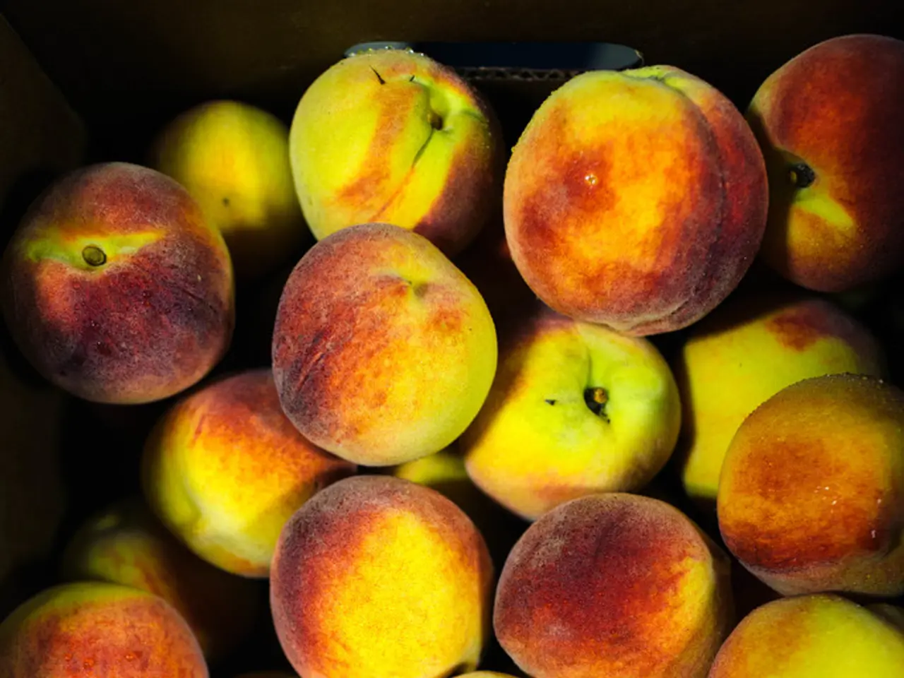 This picture shows bunch of apples in the box.