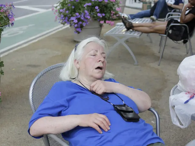 Ten Air-Purifying Plants to Aid in Sleep Quality