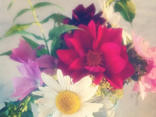 Re-Potting Orchids for Long-Lasting Growth and Vibrant Flowers