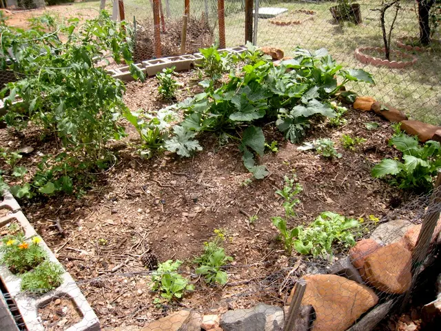 Step-by-Step Tutorial for Crafting a Terrarium Layer by Layer for a Thriving Ecosystem