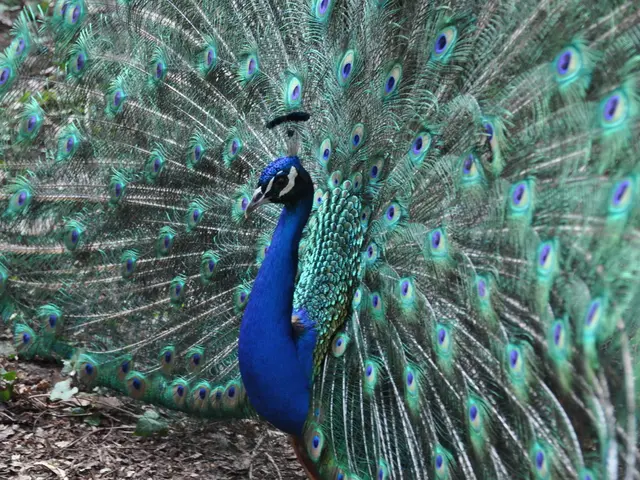 8 Resilient Flora That Stand Firm in Windy Conditions