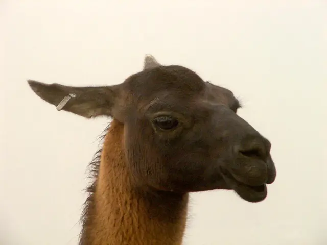 Ear Reshaping Surgery for Ears Sticking Out Too Much