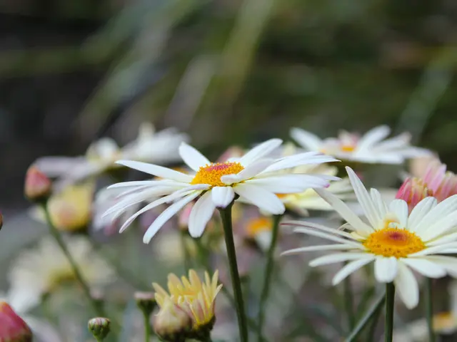 Enhancing Plantsize: Expert Advice for Vigorous, Lush Vegetation Growth