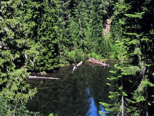 Planning to establish a pond with financial support from Woodbridge Town Council