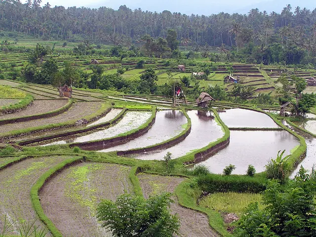 Unveil ten innovative terrarium concepts to ignite your inventiveness