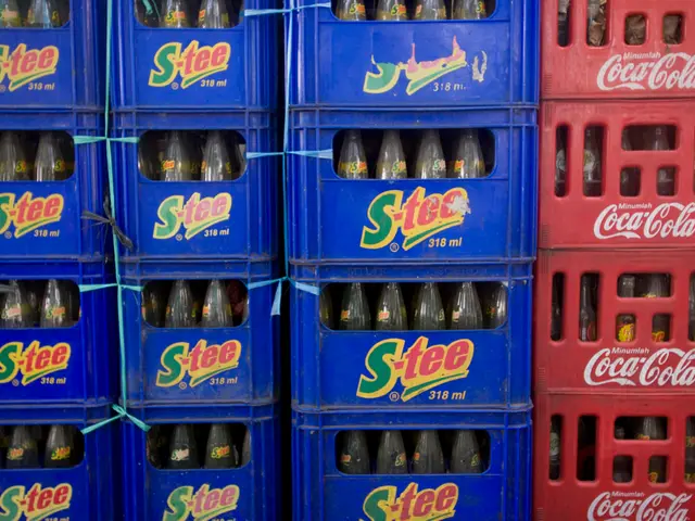 Expanding Your Space: Guidelines for Picking the Ideal Large Terrarium Box