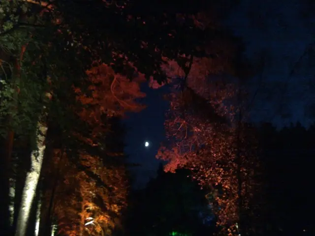 10 Intense Full Moon journal prompts for releasing: