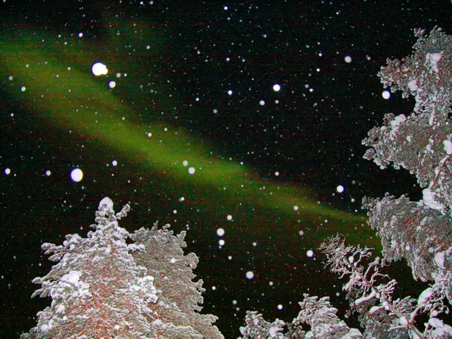 Online Auctions for Expensive Snowdrops: Bidders Competing to Purchase Rare Plants at Exorbitant...