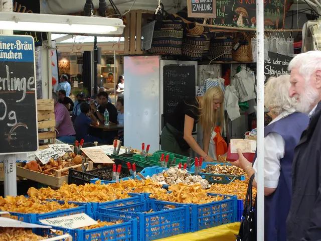 Streamline your meals with top-tier meal prep containers