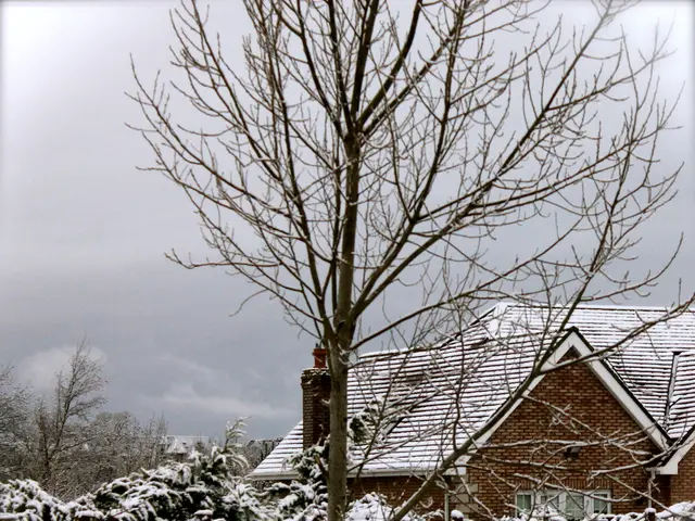 January gardening may cause more damage than benefits due to the harsh conditions.