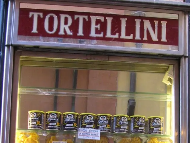 Maintaining Fridge Coolness During Power Outages: A Guide