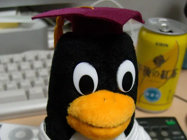 Illegally constructed pirate ships sailing alongside various other pirate-related criminal...