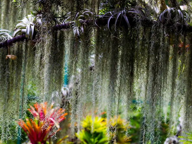 Vibrant Hostas in 18 Hues to Infuse Vividness in Your Dull Yard Shadows