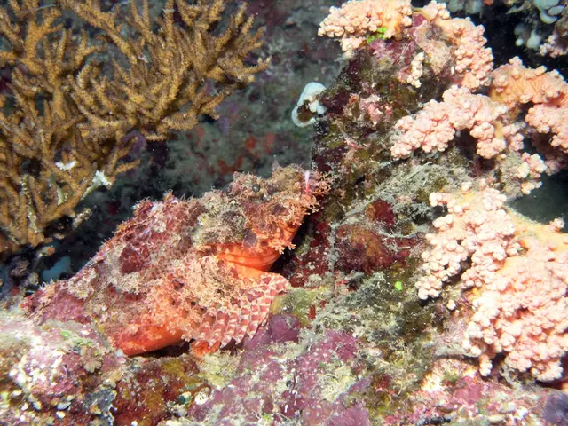 Terrarium Plants That Thrive in Low Light Conditions (Ideal Options for Shaded Spaces!)