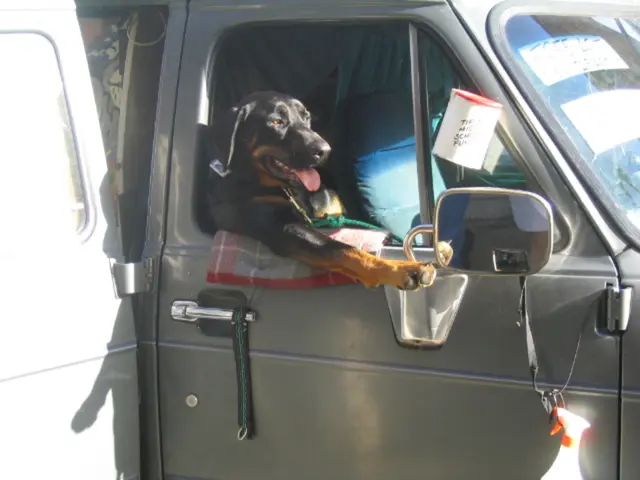 Top-Rated Dog Car Harnesses of 2025: Ensuring Safety and Security During Travel Journeys