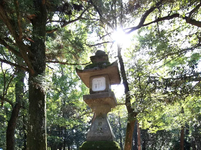 Strategies to Maintain Focus: Roar Edition