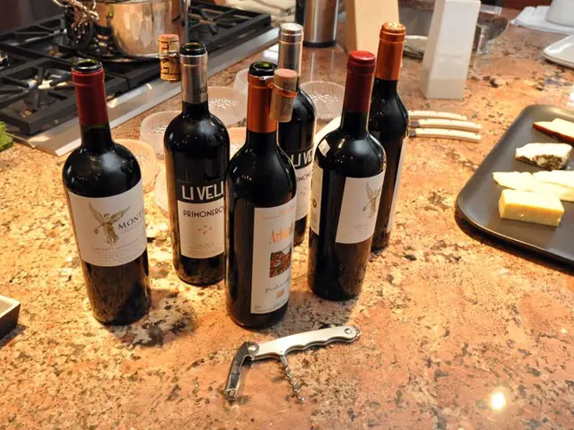 Abundant Ninja Appliance Discounts During Amazon Prime Day 2025