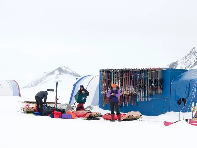 "Canine Savior: Petite Pooch Alerts Mountain Rescue Team to the Location of Owner's Snowy Crevasse...