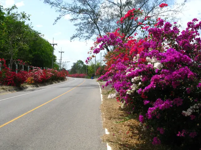 Cycle-friendly blooming locales around the National Cycle Network