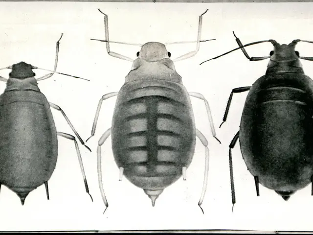 Unidentified Creatures Roam Apartment and Outside Area