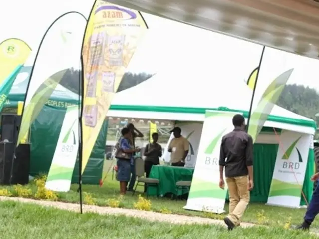 Stylish gardens often boast a common feature: an affordable purchase that instantly enhances the...