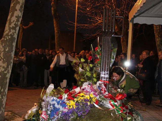 Review of the REI Co-op Wonderland Tent