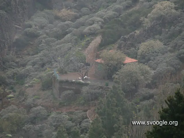 Hidden gem in Wyoming wilderness: a cozy yet modern retreat