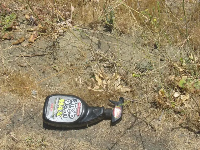 Acidifying Soil: Top Methods to Lower Soil pH