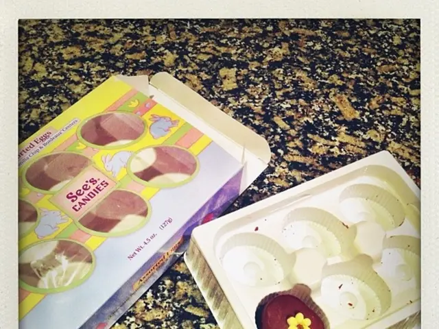 Exploring the Veracity: Are Canine Snacks Actually Beneficial for Your Four-Legged Friend?