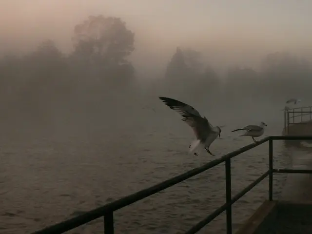 Top-Ranked Rain Barrels in 2024: Our Recommendations