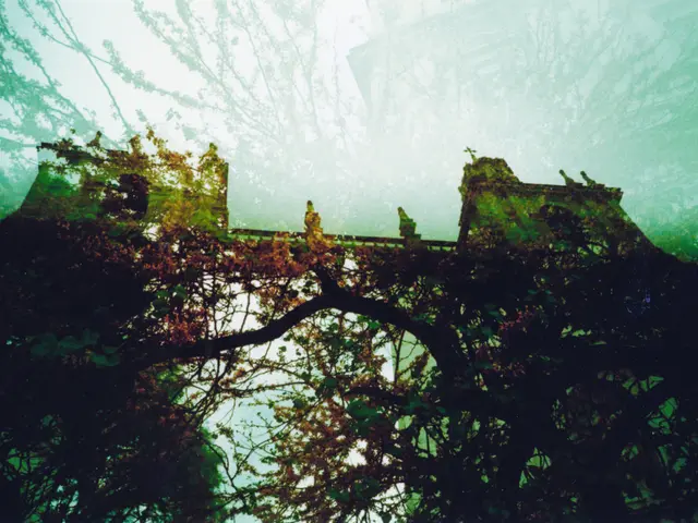 New infrastructure in Schönau Park: Bridge construction completed