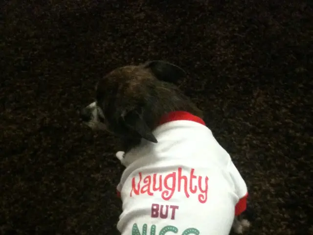 Camilla, the Queen, shares a previously unseen snapshot of her and her cherished rescue dog, Moley,...